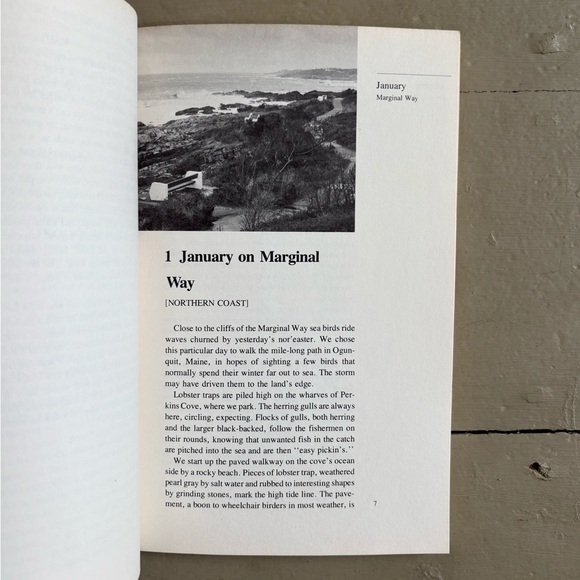 A Year with New England’s Birds A Guide to 25 Field Trips Bird New England - Picture 3 of 13